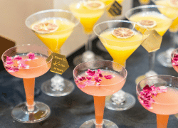 Thumbnail of post image 044